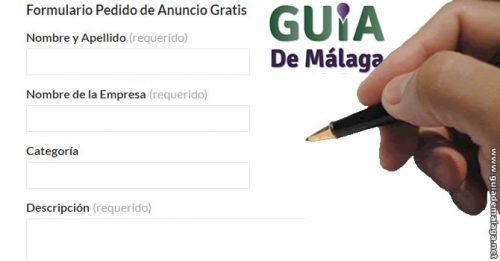 Campos del Formulario del Pedido Alta de Anuncio