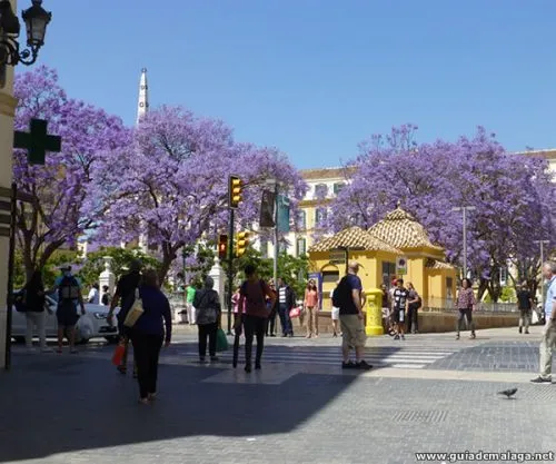 Plaza de la Merced, Centro histórico de la ciudad de Málaga Capital, Costa del Sol, Andalucía, España
