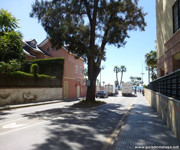 Árbol en la Calle