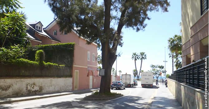 Árbol en la Calle