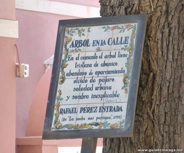 Árbol en la Calle