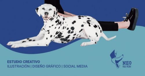 Neo mood media